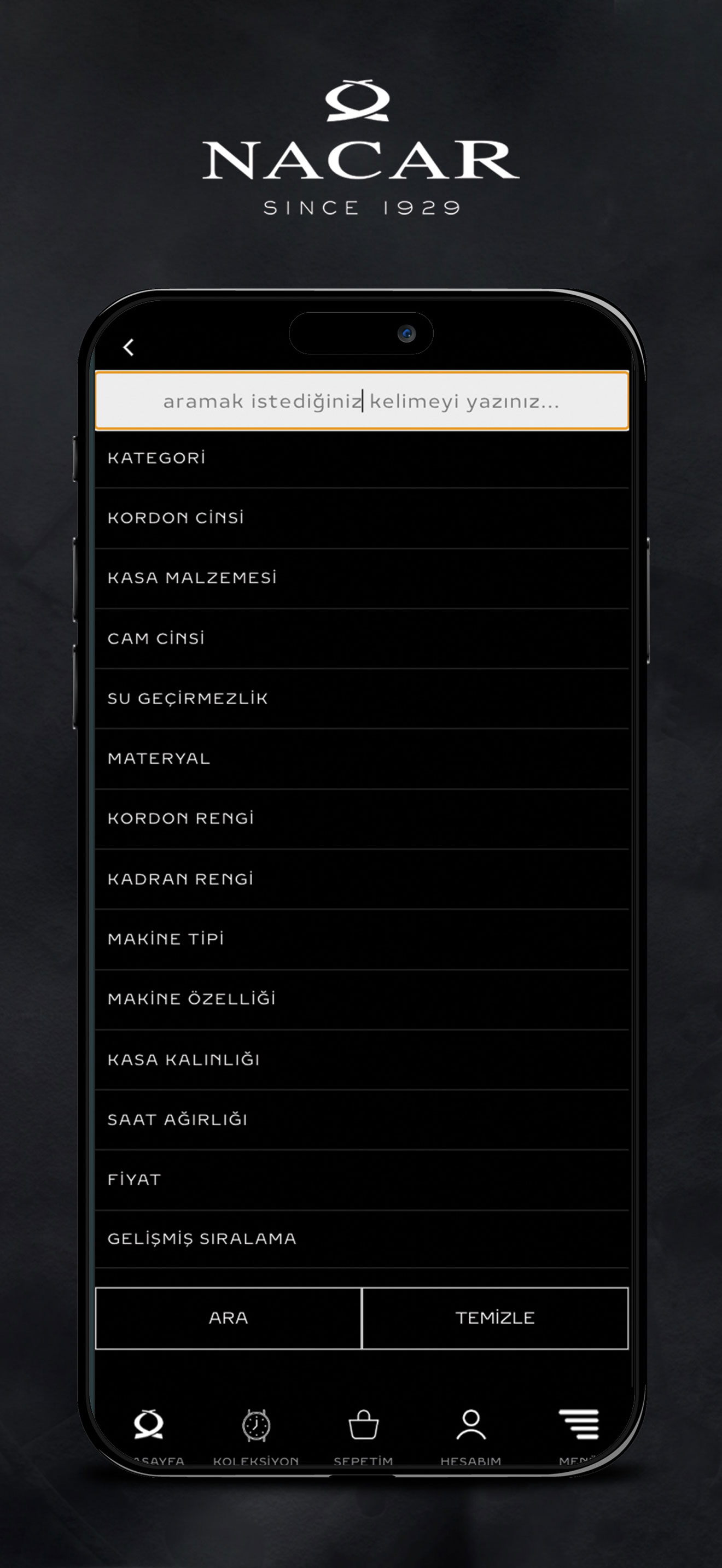 NACAR screenshot 7