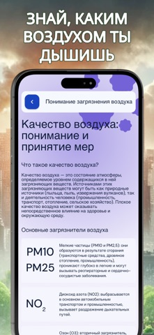 Загрязнение • Пыльца • Виджет iPhone screenshot 7