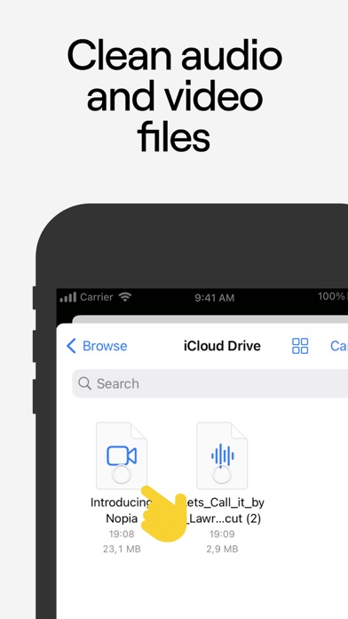 Voice Cleaner & Noise Remover iPhone screenshot