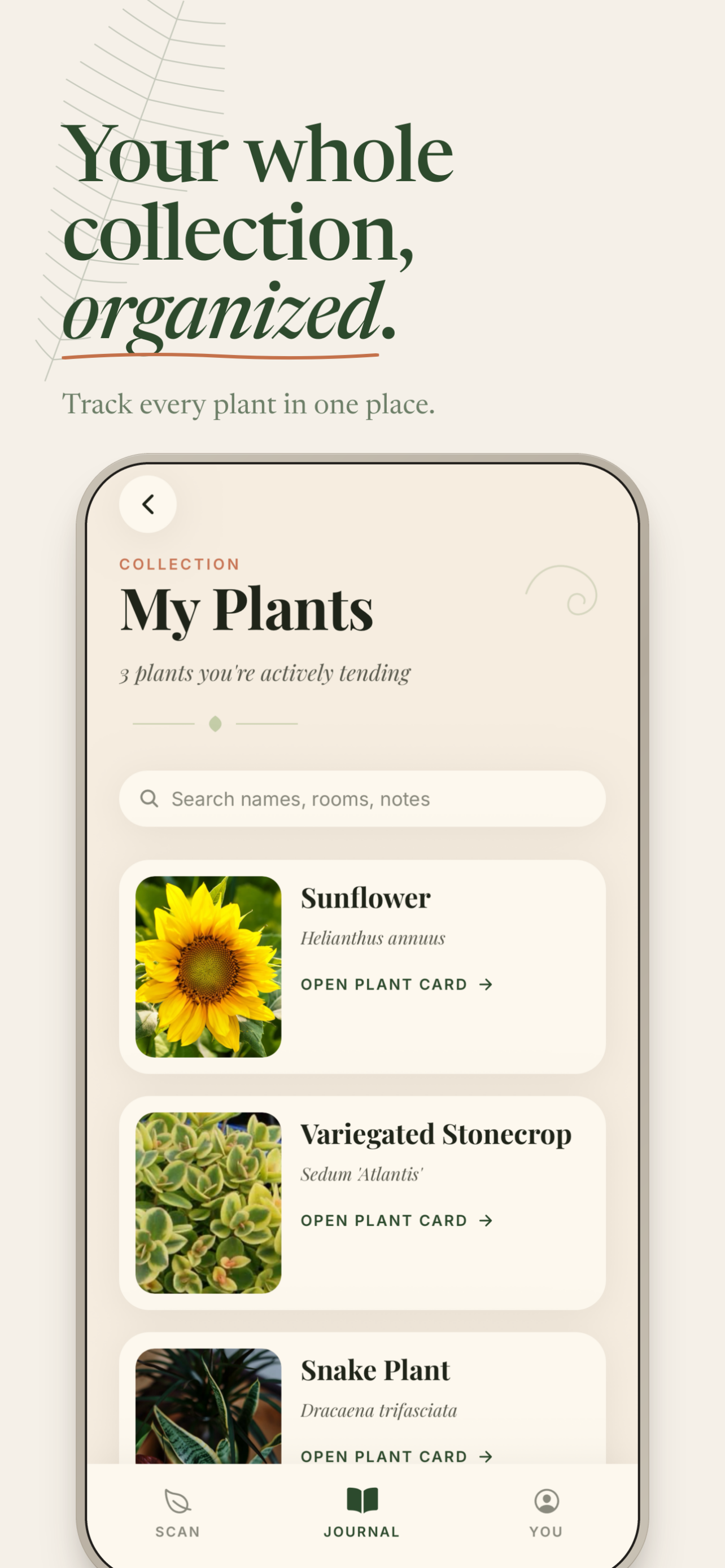 Fern: Plant Scanner screenshot 4
