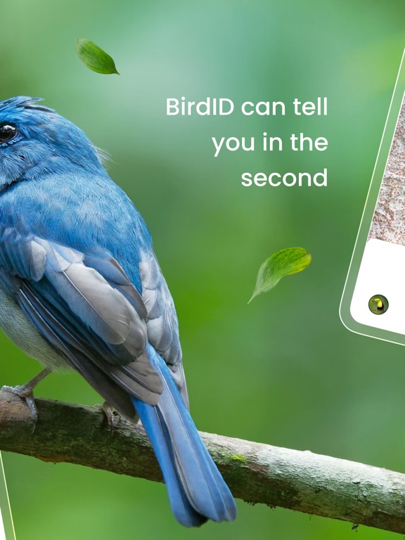 Screenshot #5 pour Bird ID: Bird call identifier