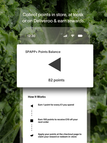 The Salad Project iPad screenshot 7