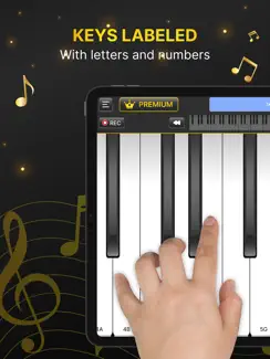 Learn Piano: Fun Real Keyboard iPad image 3