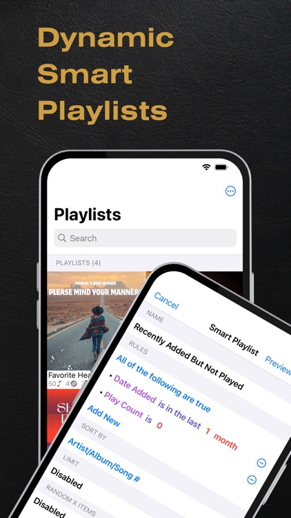 BTR AMP Advanced Music Player screenshot-3