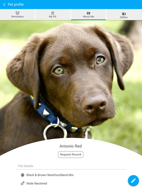 Lake City Animal Hospital iPad screenshot 3 - Business app