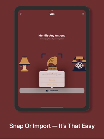 Jewelry Identifier - Auri iPad screenshot