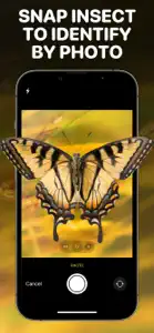 Bug Identifier App - Insect ID screenshot #2 for iPhone