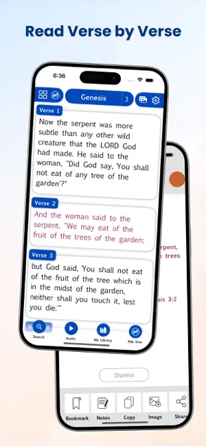 RSV Bible screenshot 1