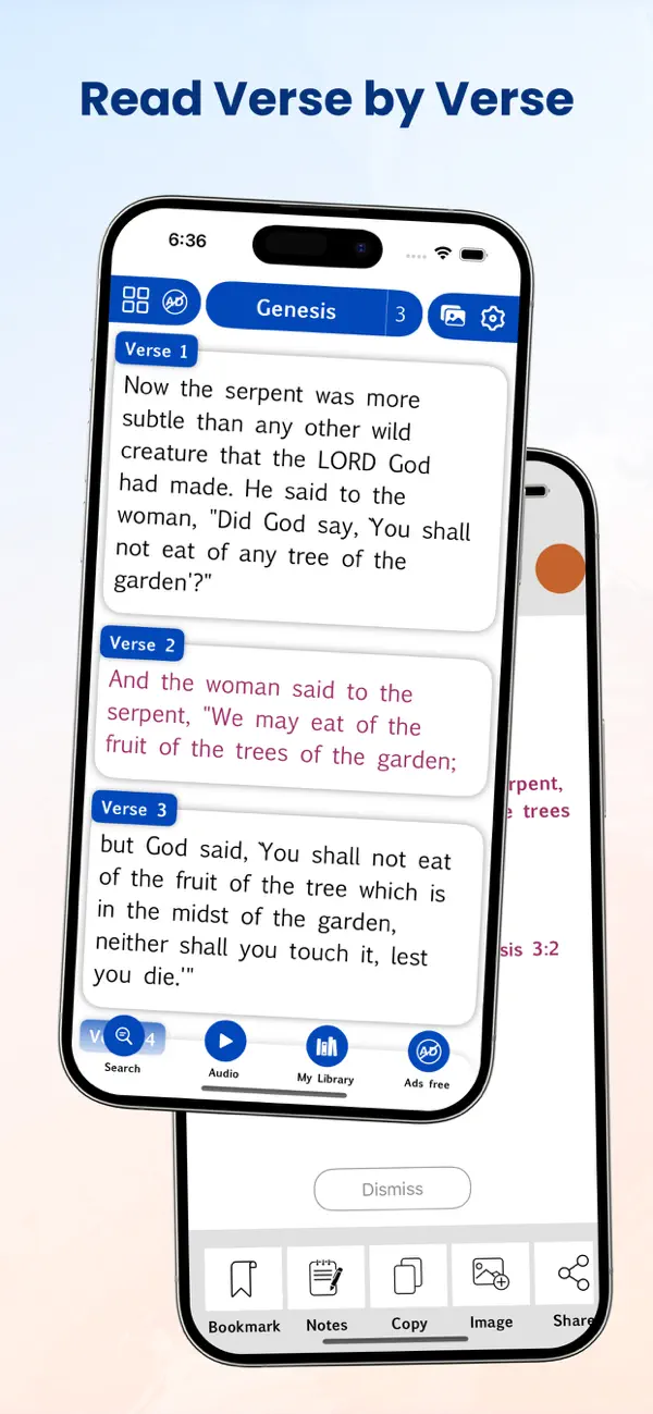 Screenshot #1 pour RSV Bible