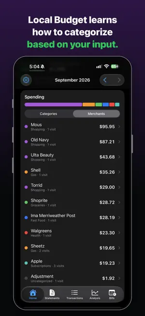Local Budget: Statement Scan screenshot 4