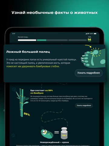Московский зоопарк AR