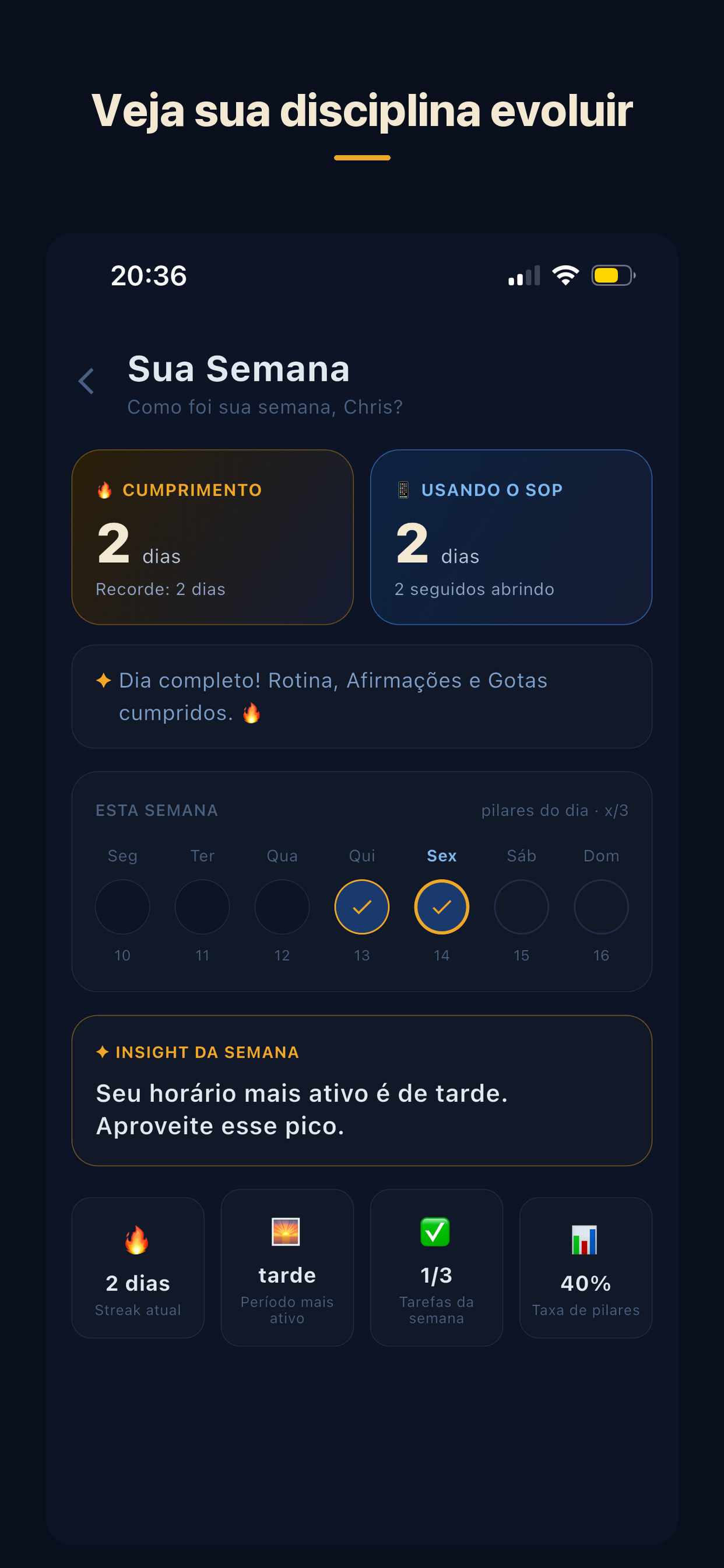 SOP: Rotina e Fluxo do Dia screenshot 4