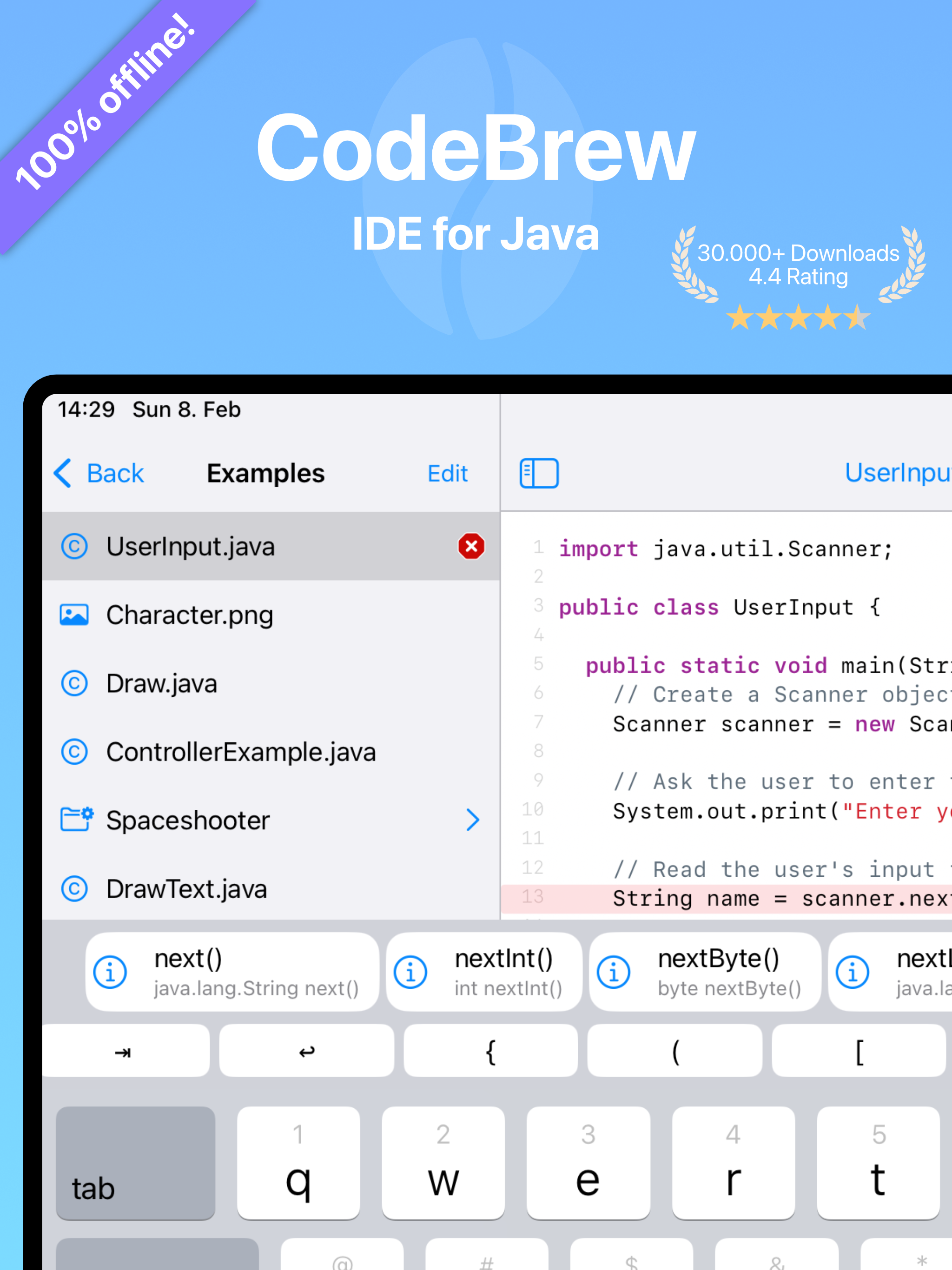 CodeBrew - IDE for Java