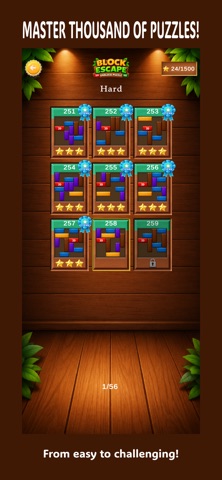 Block Escape: Unblock Puzzle Screenshot 6 of 10
