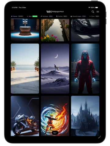WallpaperHost: 4K Wallpapers iPad screenshot