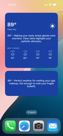 Snarky Weather screenshot