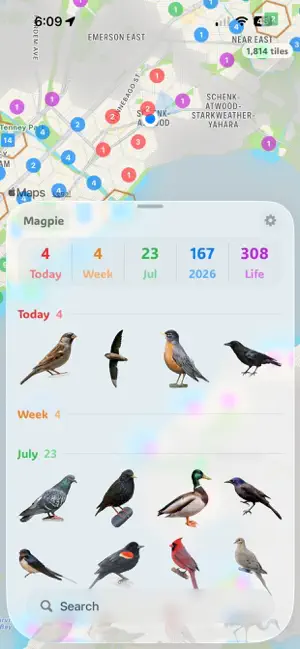 Magpie - birding app screenshot 1