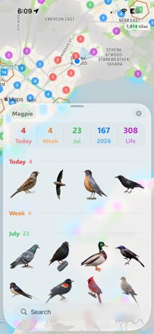 Magpie - birding app iPhone screenshot