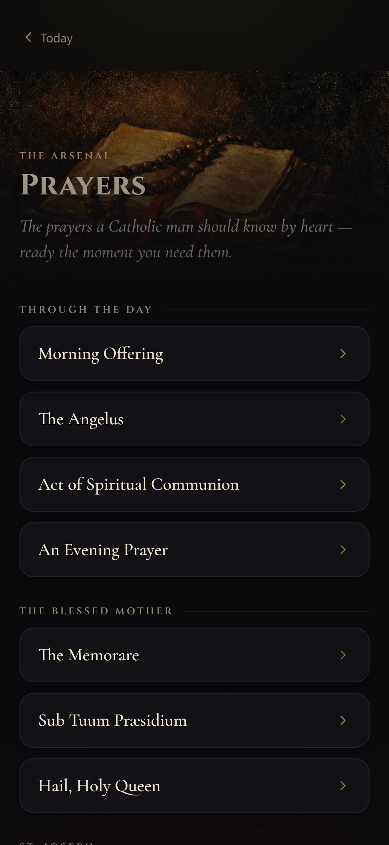 Screenshot 7 of 1765 Sanctum