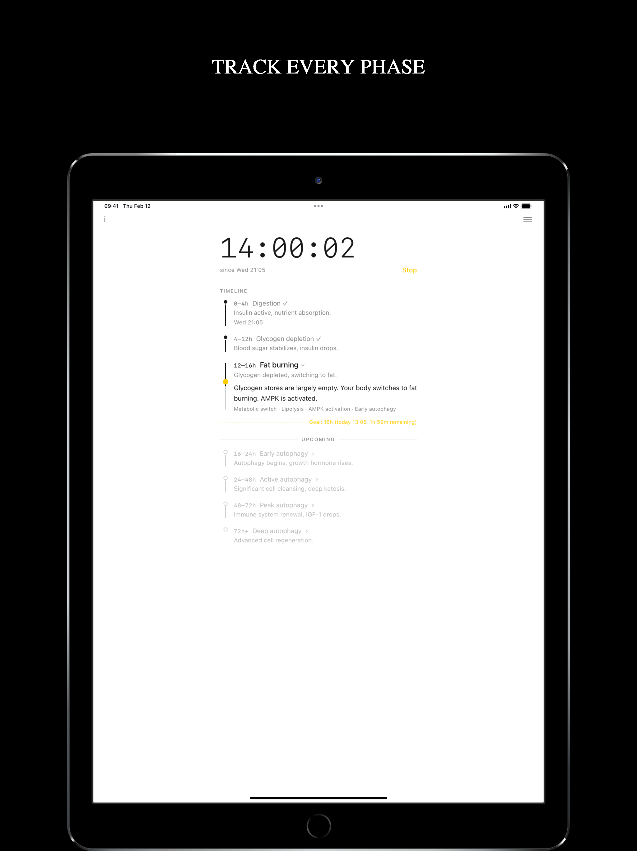 Autophagy Tracker