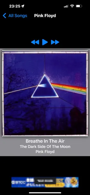 PlayingAlbums for iOS screenshot 4