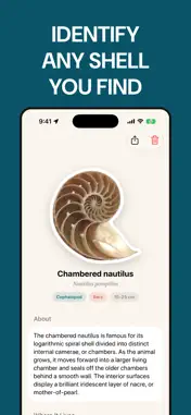 Sea Shell Identifier: ShellMap screenshot 1