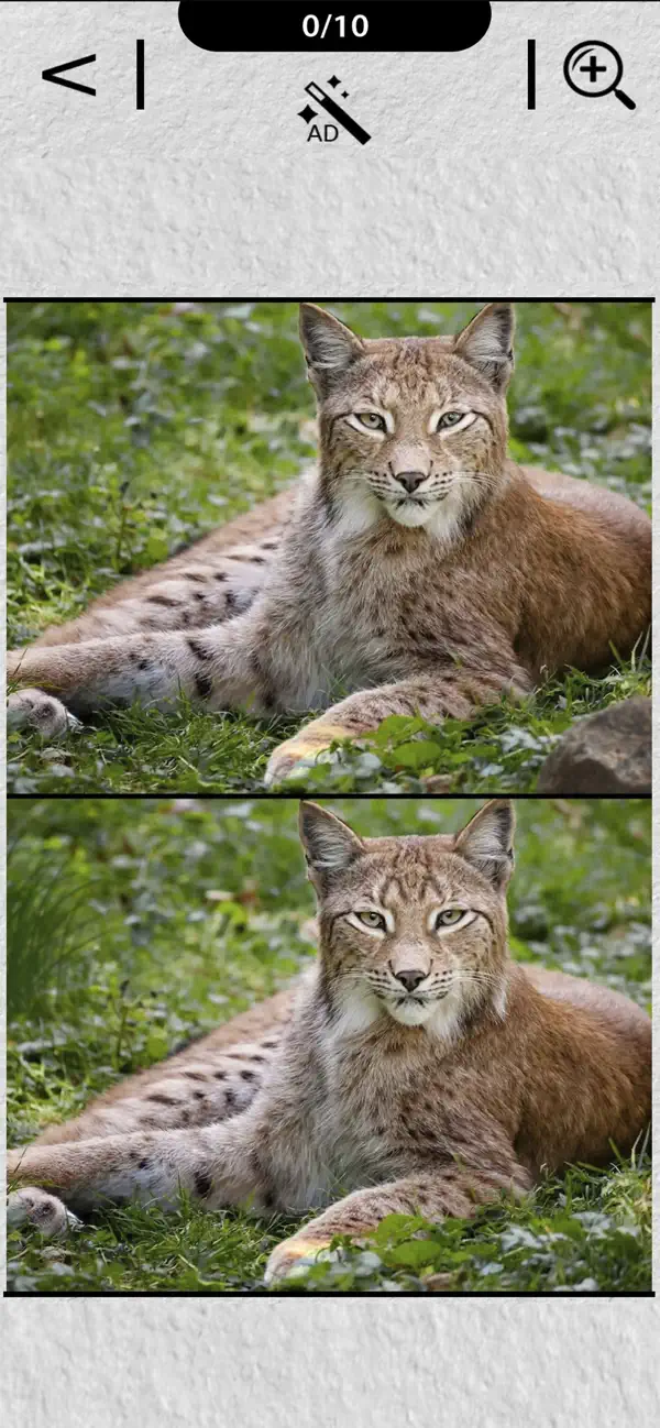 #3. Find Difference in the Picture (iOS) By: Andrey Sokolovskiy