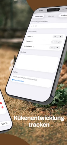Hühnerzucht screenshot