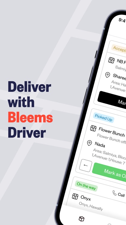 Bleems - Driver