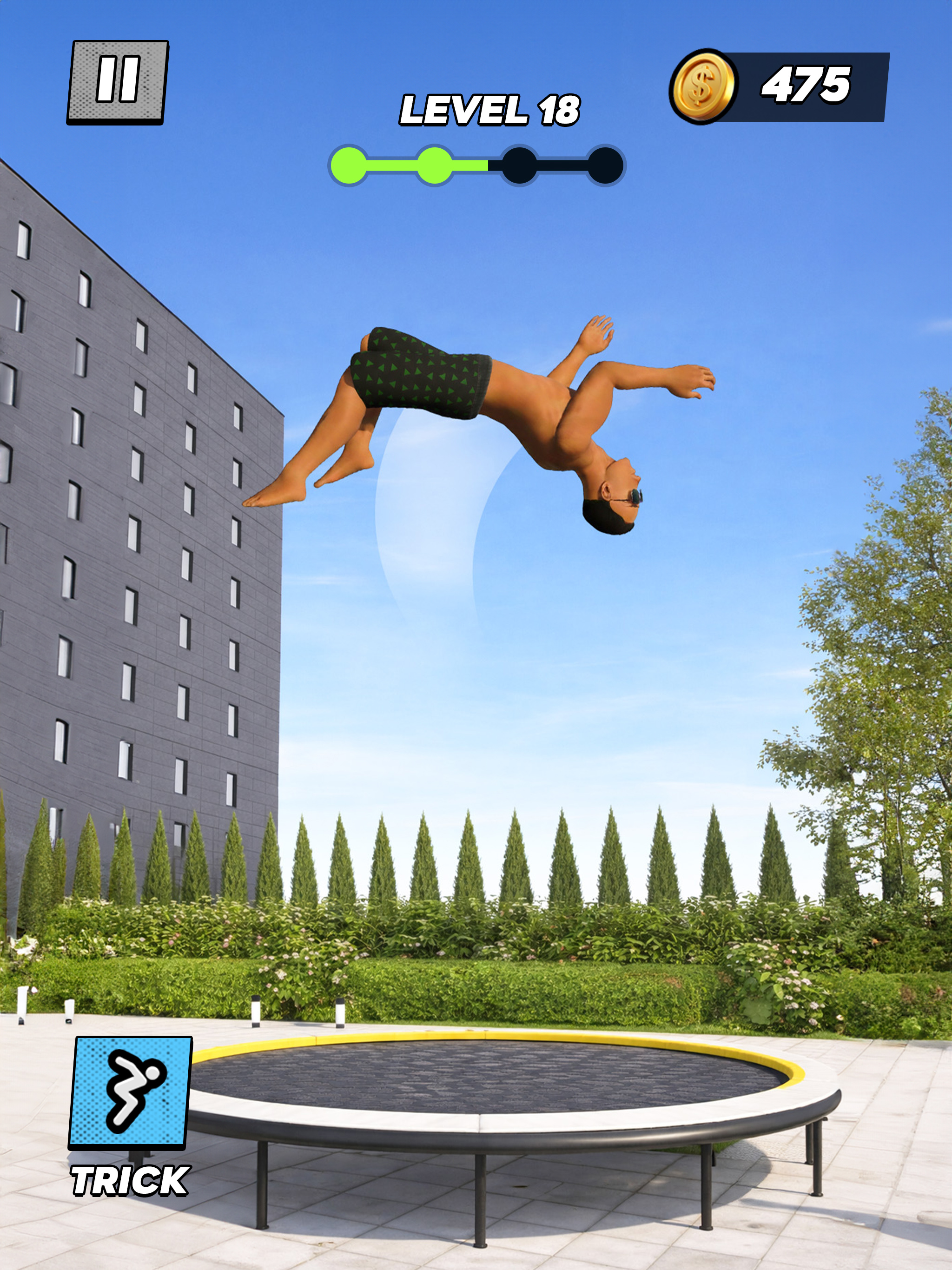 Backflip Mania