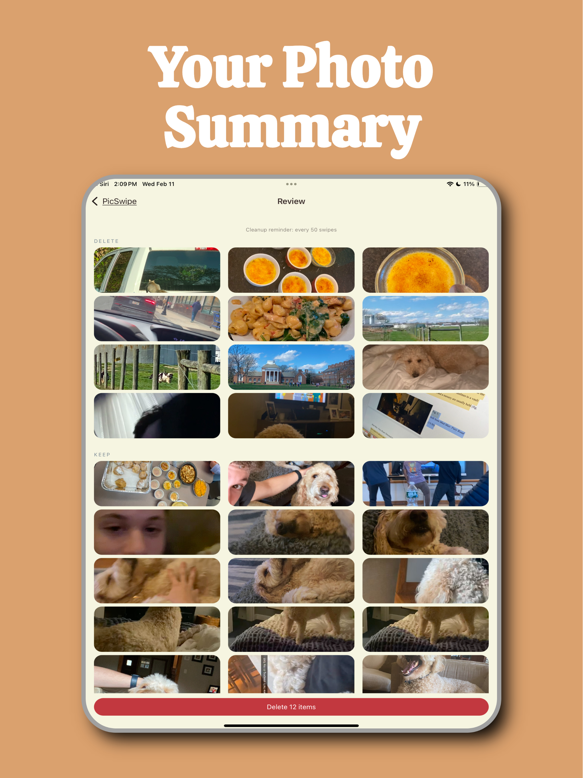 PicSwipe - Camera Roll Cleaner screenshot 11