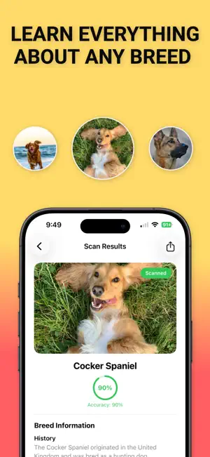 BreedAI - Dog Breed Identifier screenshot 2