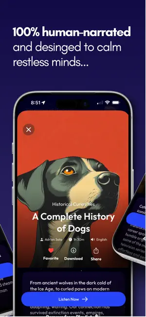 WikiSleep: Sleep Stories screenshot 2