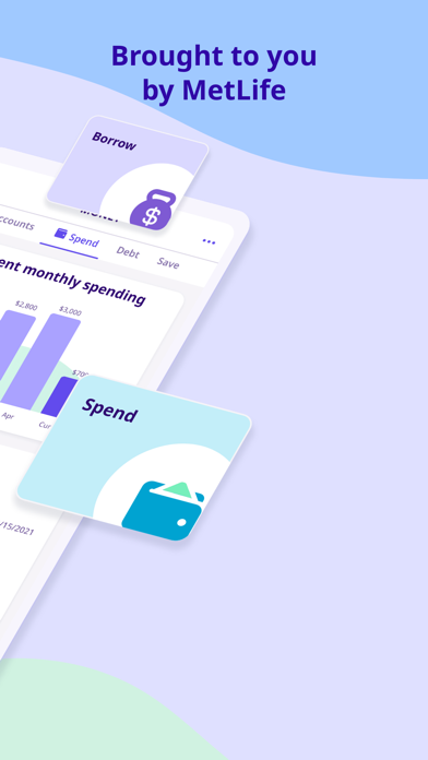 MetLife Personal Finance App Screenshot