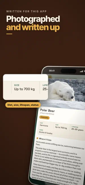 All the Animals screenshot 3