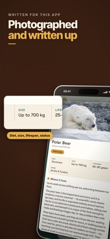 All the Animals Screenshot 3 of 6