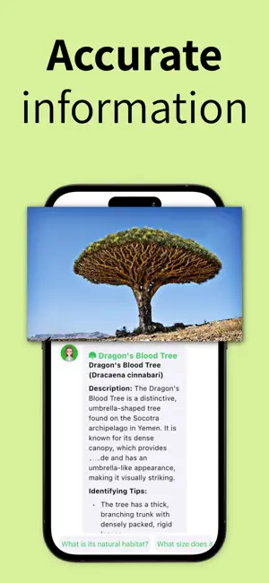 Tree Identifier: Wood & Leaf ‎ screenshot 2