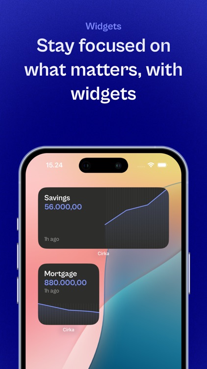 Budget Planner – Cirka