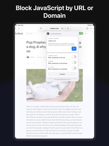 JavaScript Blocker for Safari iPad screenshot