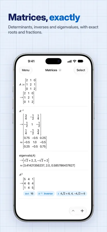 Mathématiques avec PocketCAS screenshot 8 of 10