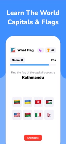 What Flag Geography Quiz Game screenshot