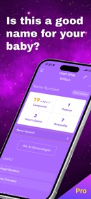 Pocket Numerology Pro screenshot