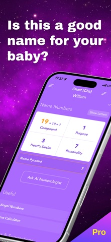 Pocket Numerology Pro Screenshot 10 of 10