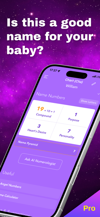 Pocket Numerology Pro Screenshot 10 of 10