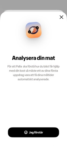 Palla iPhone screenshot 8