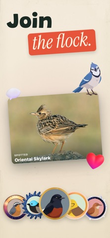 Syrinx: Learn Bird Songs Screenshot 9 of 10