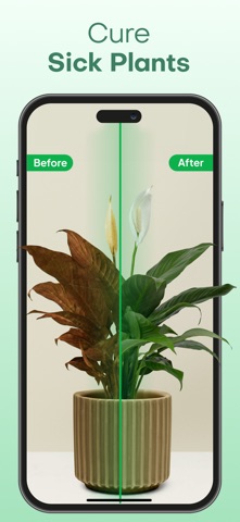 Plantae - AI Plant Identifier iPhone screenshot