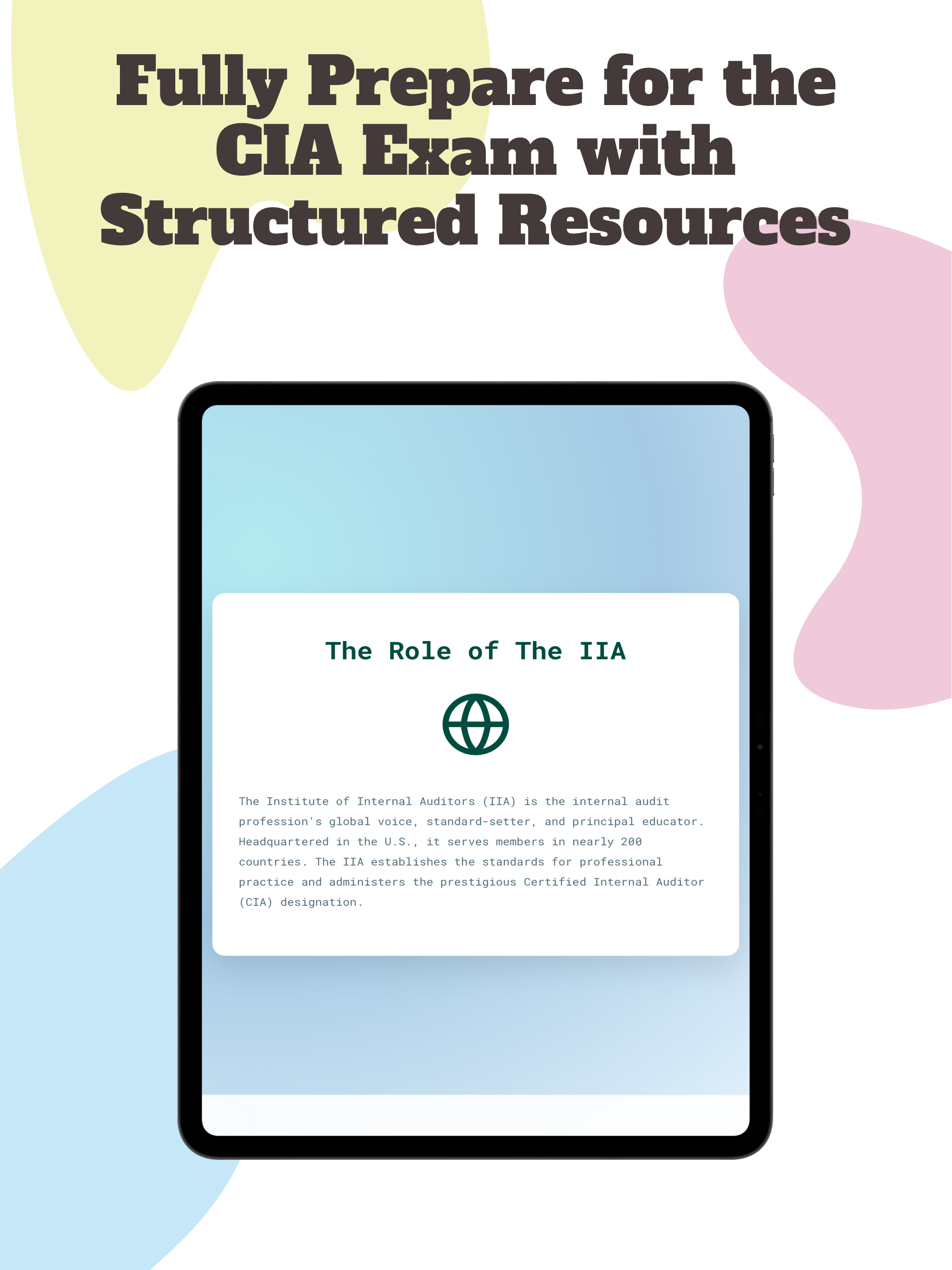 IIA CIA Mastery: All Parts 1-3 screenshot 6