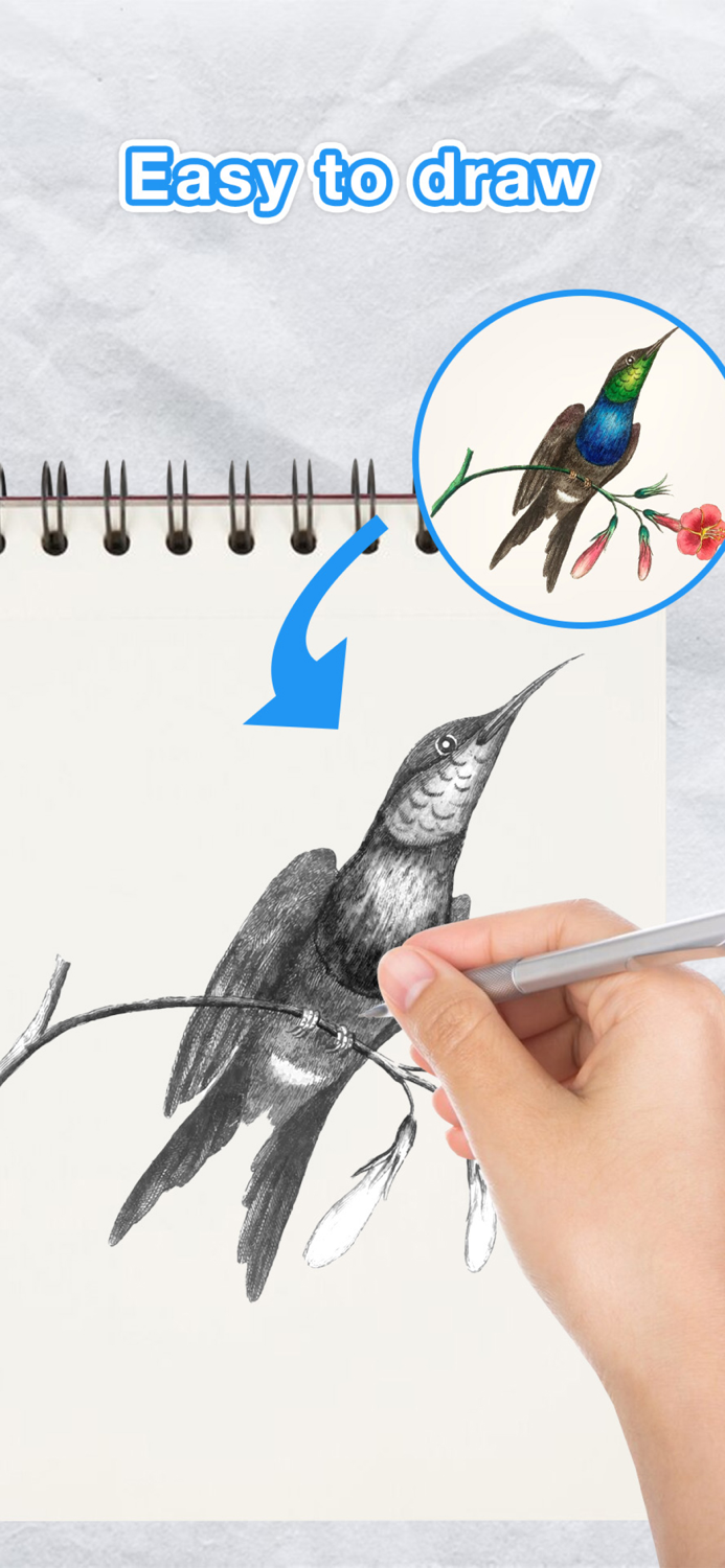 AR Sketch - Easy Drawing