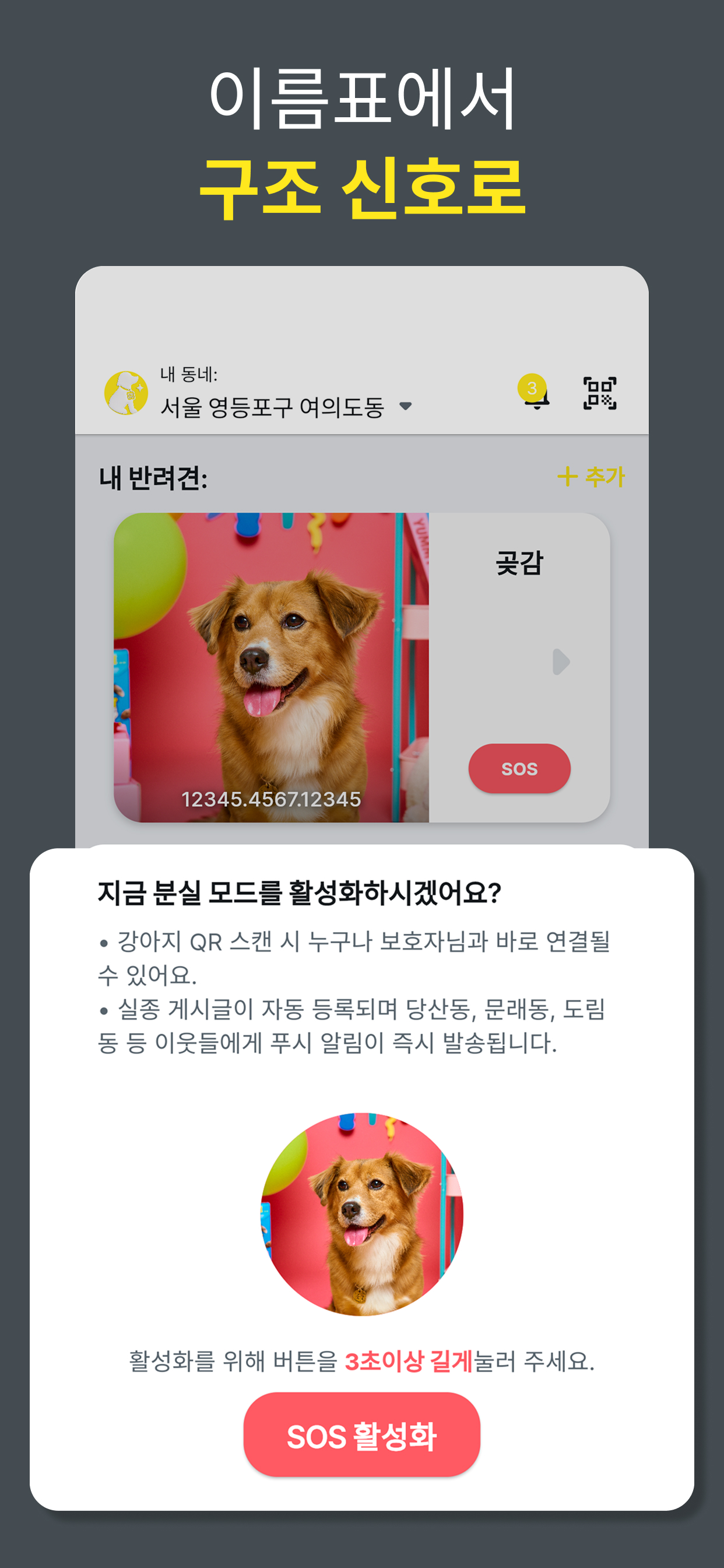 찍멍 - 반려견과 우리들의 연결고리